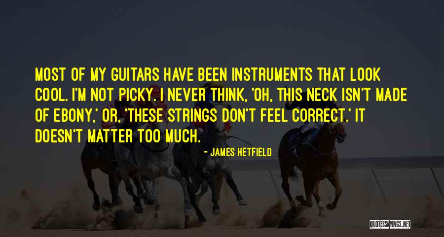 I'm Too Picky Quotes By James Hetfield