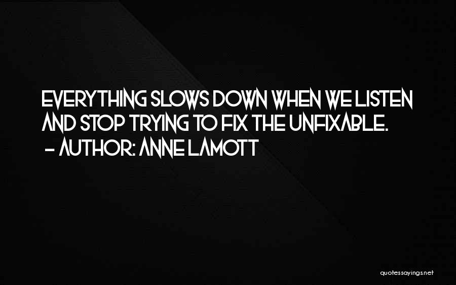 I'm Unfixable Quotes By Anne Lamott