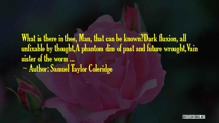 I'm Unfixable Quotes By Samuel Taylor Coleridge