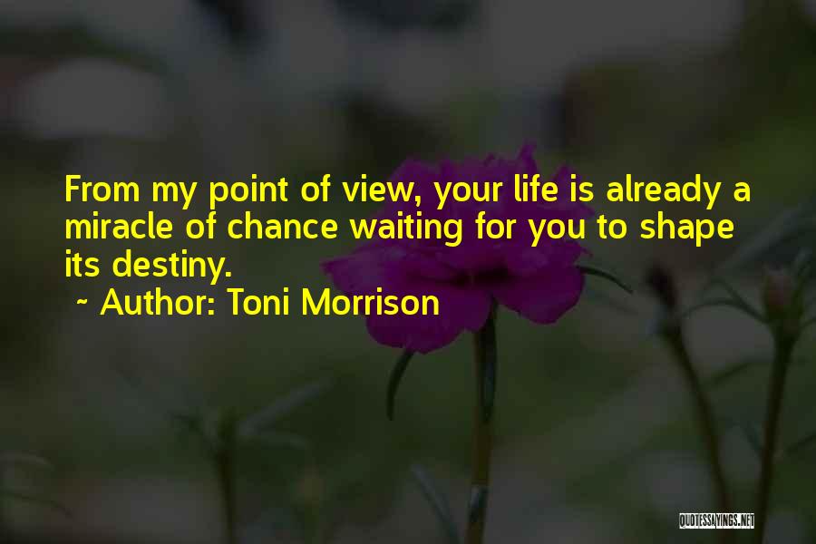 I'm Waiting For A Miracle Quotes By Toni Morrison