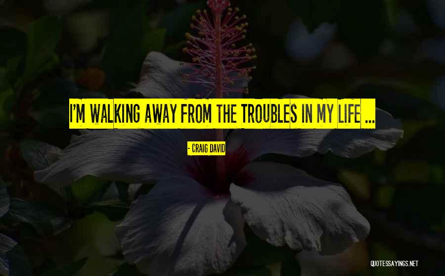 I'm Walking Away Quotes By Craig David