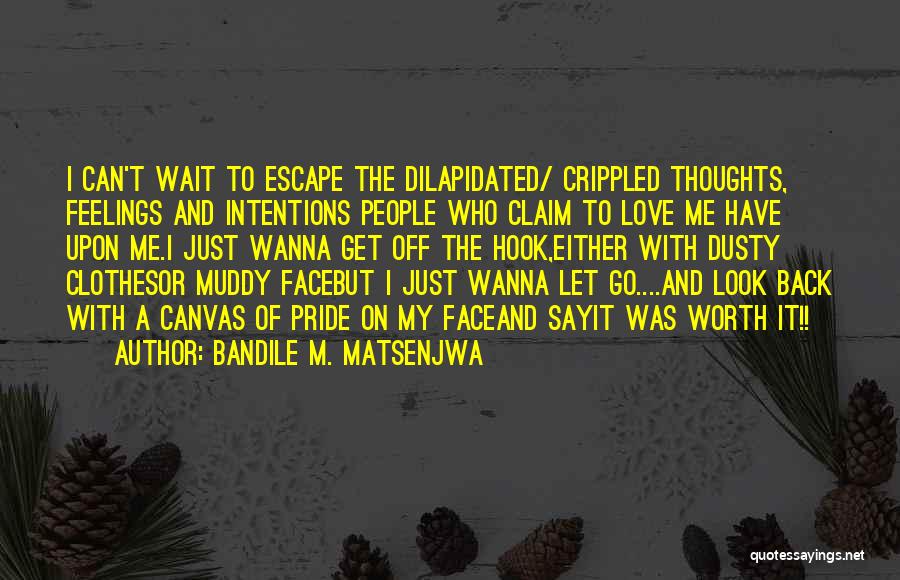 I'm Worth It Quotes By Bandile M. Matsenjwa