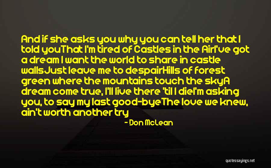 I'm Worth To Love Quotes By Don McLean