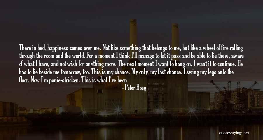 I'm Worth To Love Quotes By Peter Hoeg