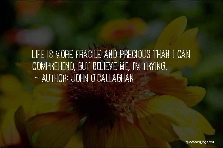 I'm Young But Quotes By John O'Callaghan