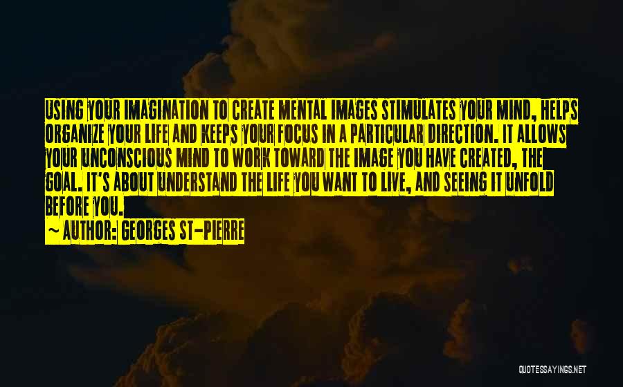 Image In Life Quotes By Georges St-Pierre