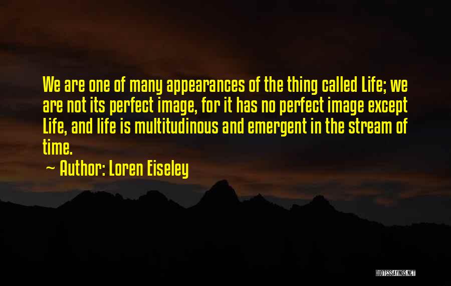 Image In Life Quotes By Loren Eiseley
