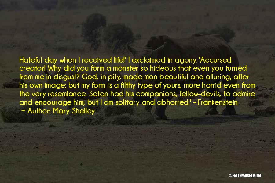 Image In Life Quotes By Mary Shelley