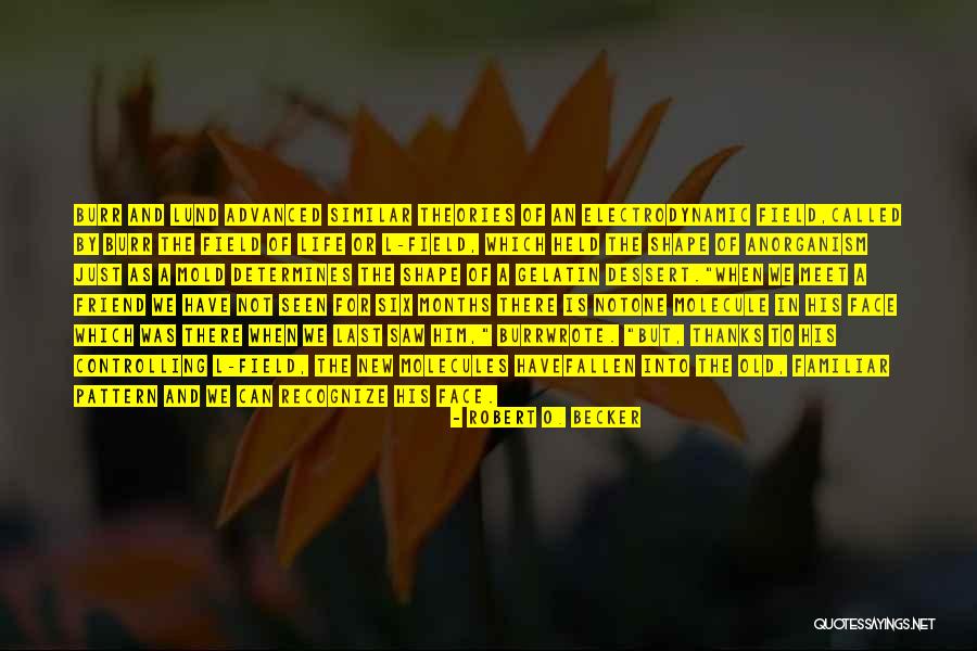 Image Of Entrepreneur Straits Quotes By Robert O. Becker