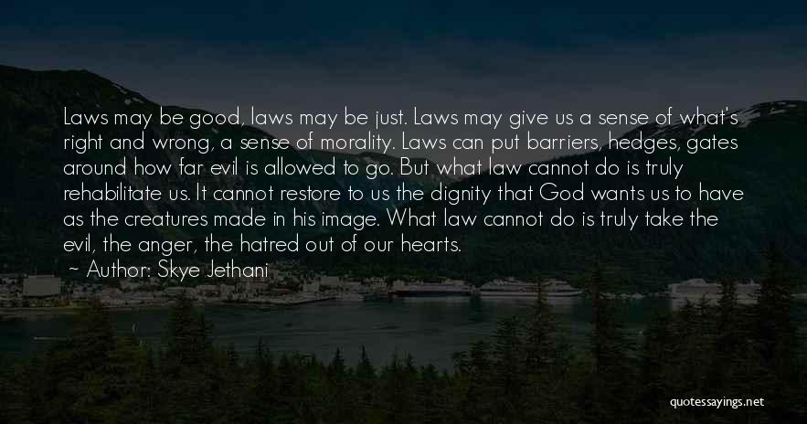 Image Of God Quotes By Skye Jethani