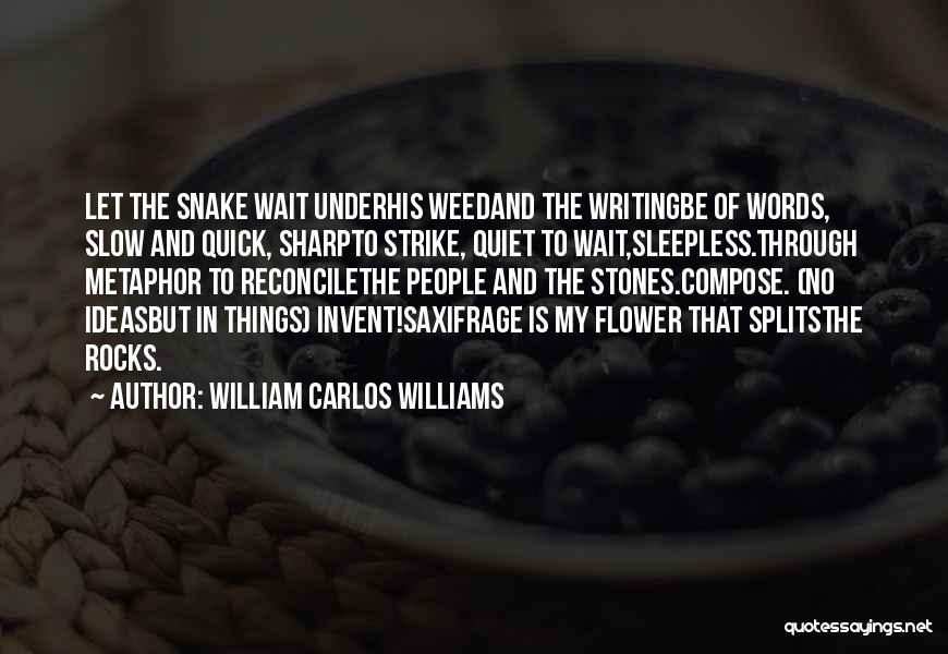 Imagery In Poetry Quotes By William Carlos Williams