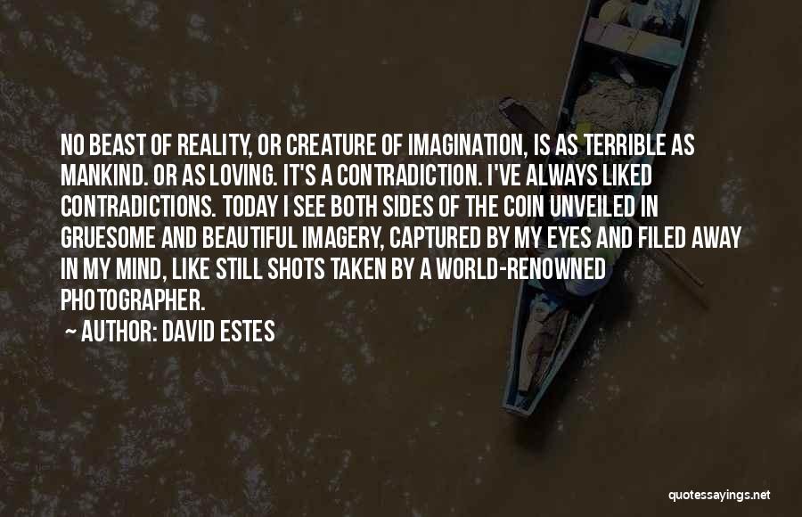 Imagery Quotes By David Estes