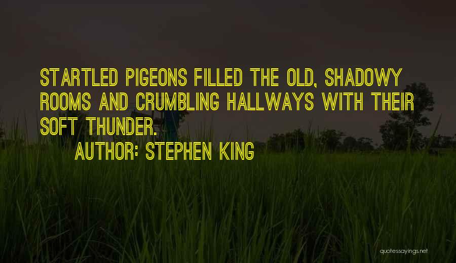 Imagery Quotes By Stephen King