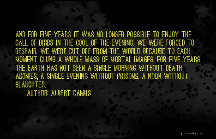 Images For Morning Quotes By Albert Camus