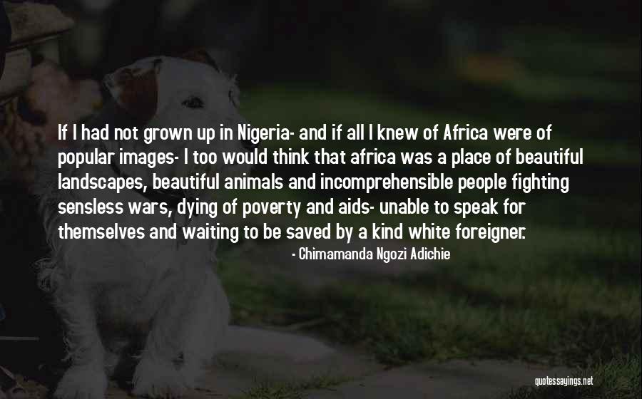 Images Of Landscapes With Quotes By Chimamanda Ngozi Adichie Images Of Landscapes With Quotes By Chimamanda Ngozi Adichie