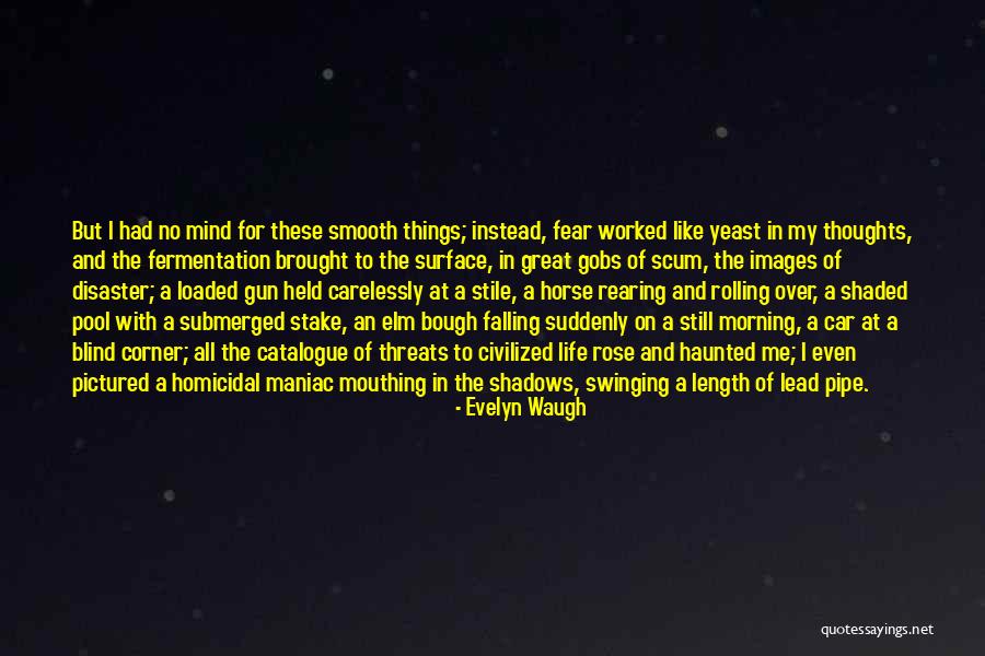 Images Of Life With Quotes By Evelyn Waugh Images Of Life With Quotes By Evelyn Waugh