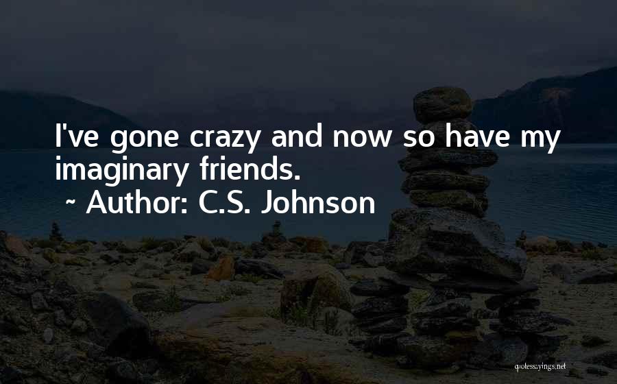 Imaginary Friends Quotes By C.S. Johnson