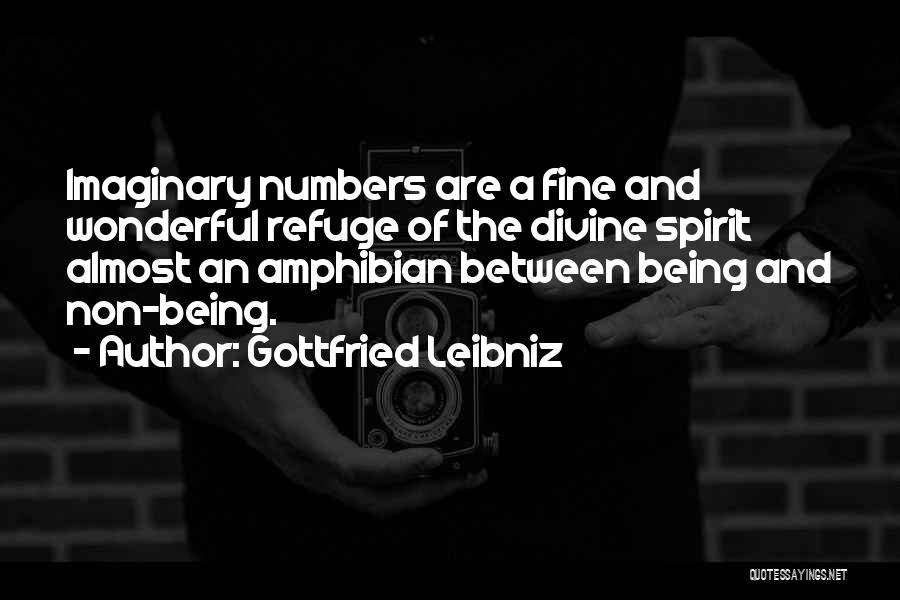 Imaginary Numbers Quotes By Gottfried Leibniz