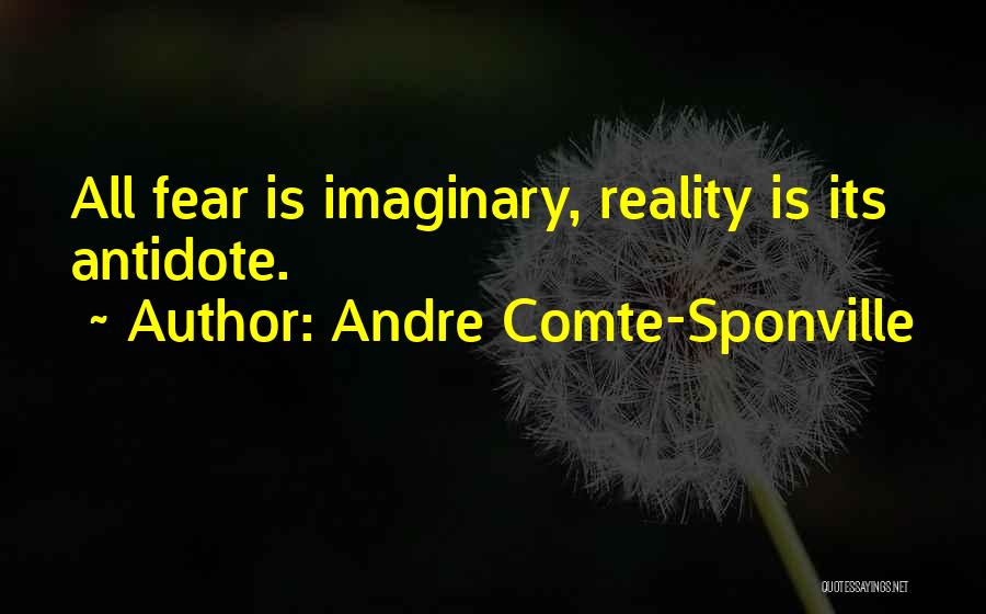 Imaginary Quotes By Andre Comte-Sponville