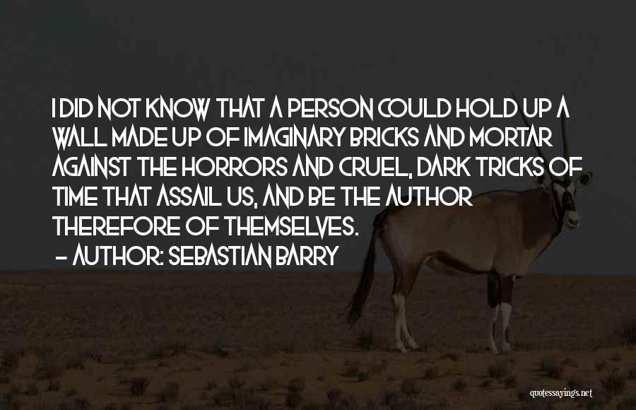 Imaginary Quotes By Sebastian Barry