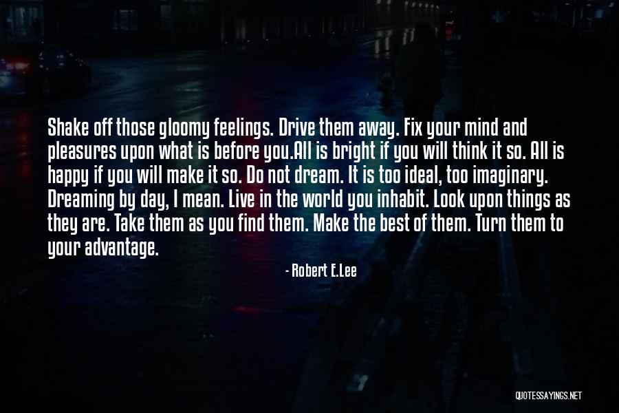 Imaginary World Quotes By Robert E.Lee