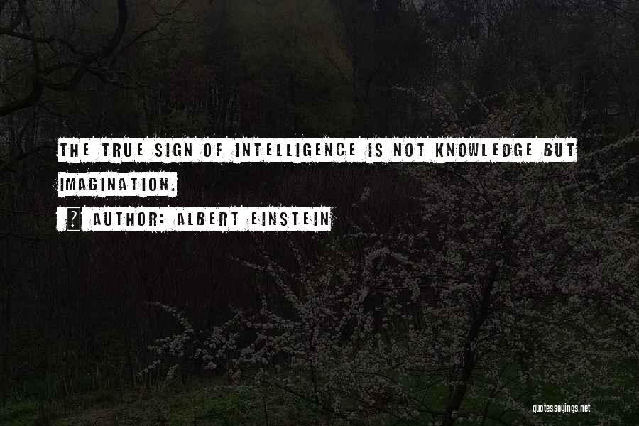 Imagination Albert Einstein Quotes By Albert Einstein