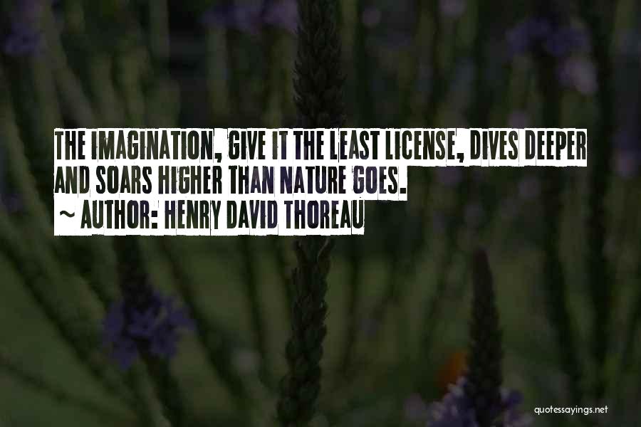Imagination And Art Quotes By Henry David Thoreau