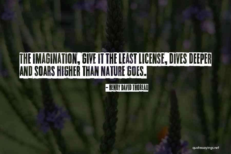 Imagination And Art Quotes By Henry David Thoreau