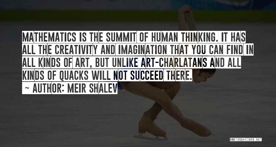 Imagination And Art Quotes By Meir Shalev