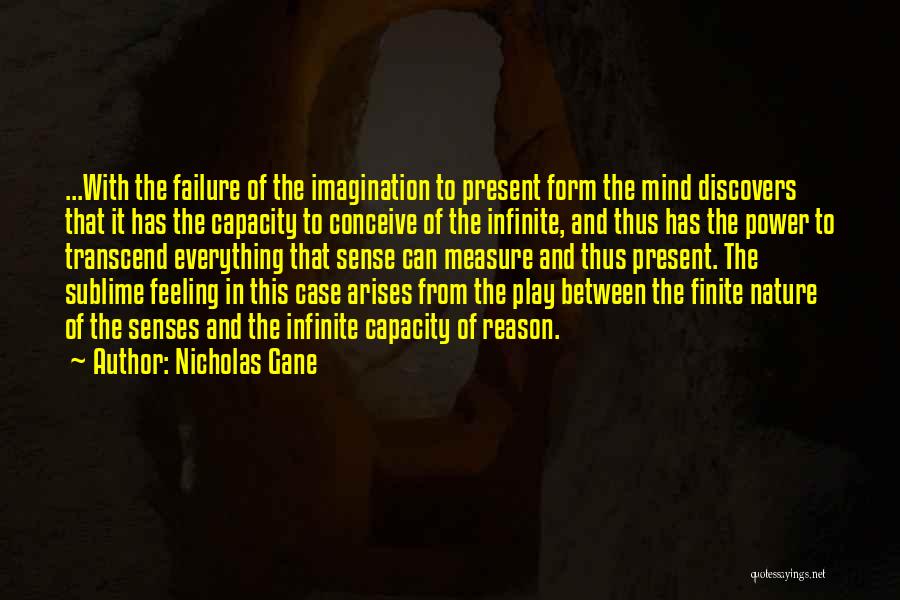 Imagination And Play Quotes By Nicholas Gane