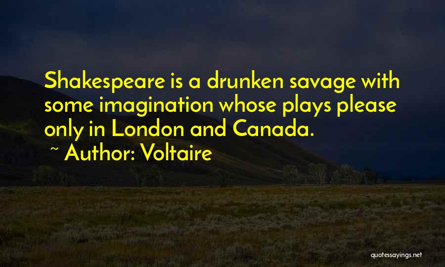 Imagination And Play Quotes By Voltaire