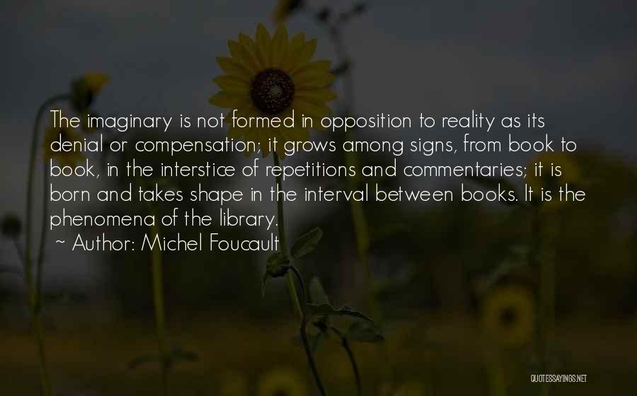 Imagination From Books Quotes By Michel Foucault