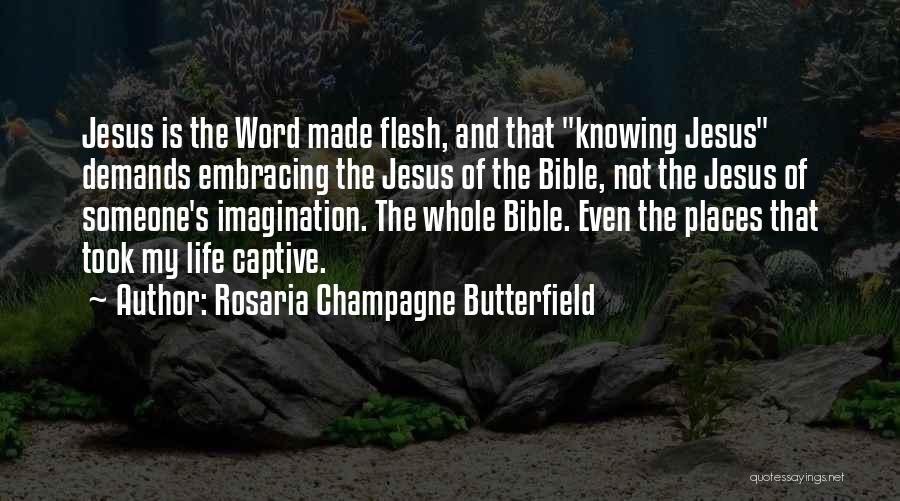 Imagination In The Bible Quotes By Rosaria Champagne Butterfield