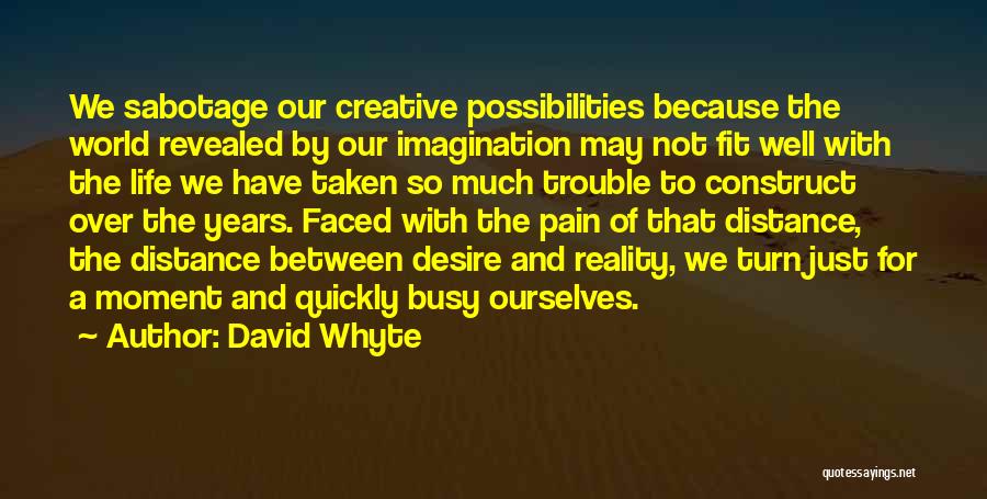 Imagination Reality Quotes By David Whyte