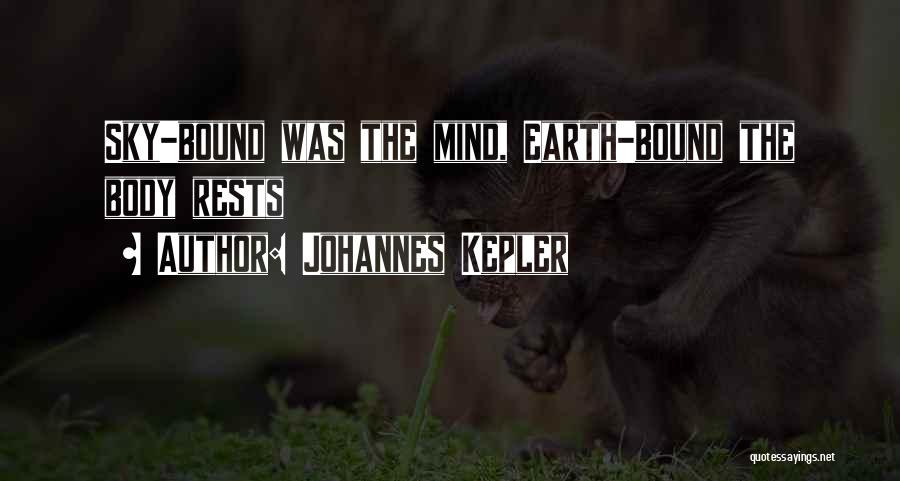 Imagination Reality Quotes By Johannes Kepler