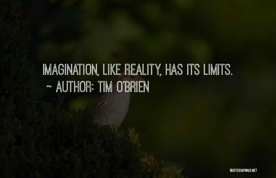 Imagination Reality Quotes By Tim O'Brien