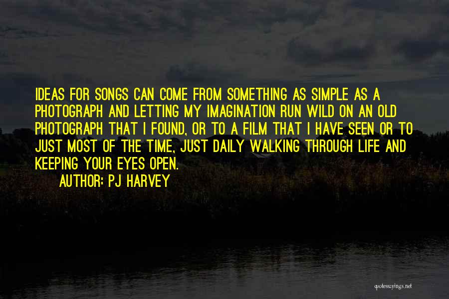 Imagination Running Wild Quotes By PJ Harvey