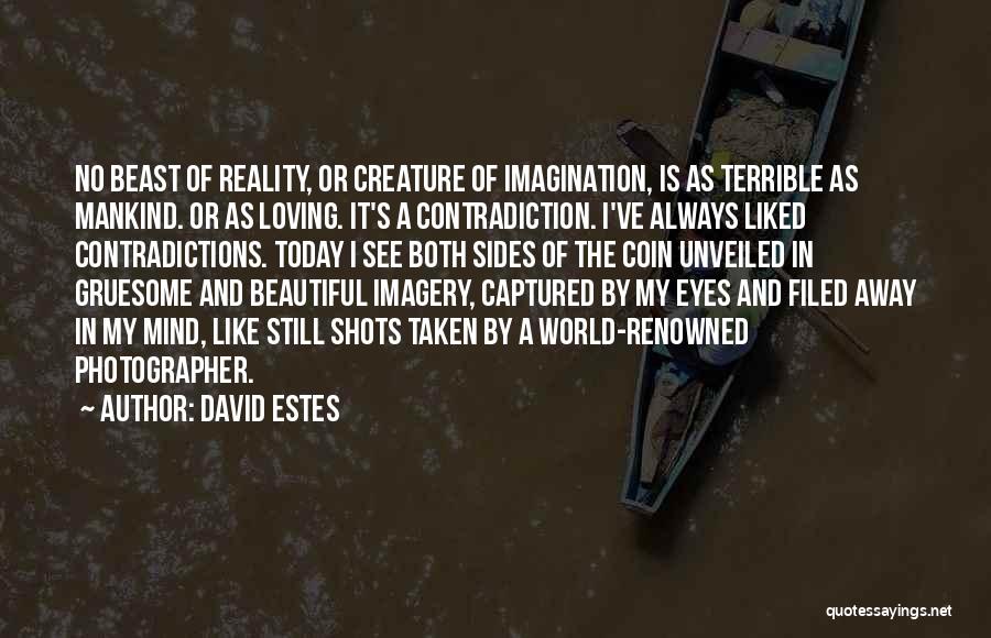 Imagination Vs Reality Quotes By David Estes