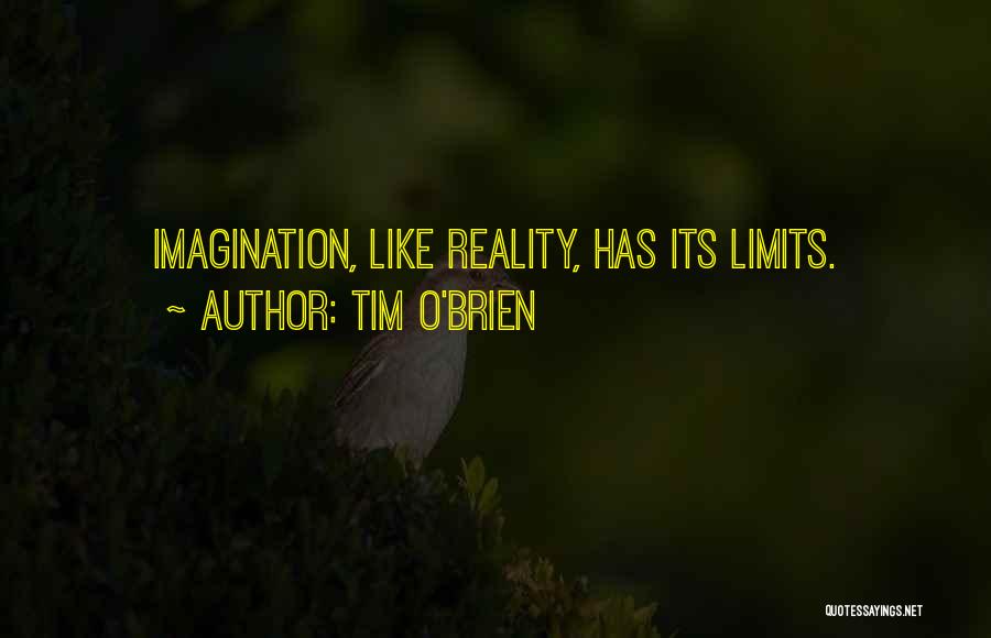 Imagination Vs Reality Quotes By Tim O'Brien