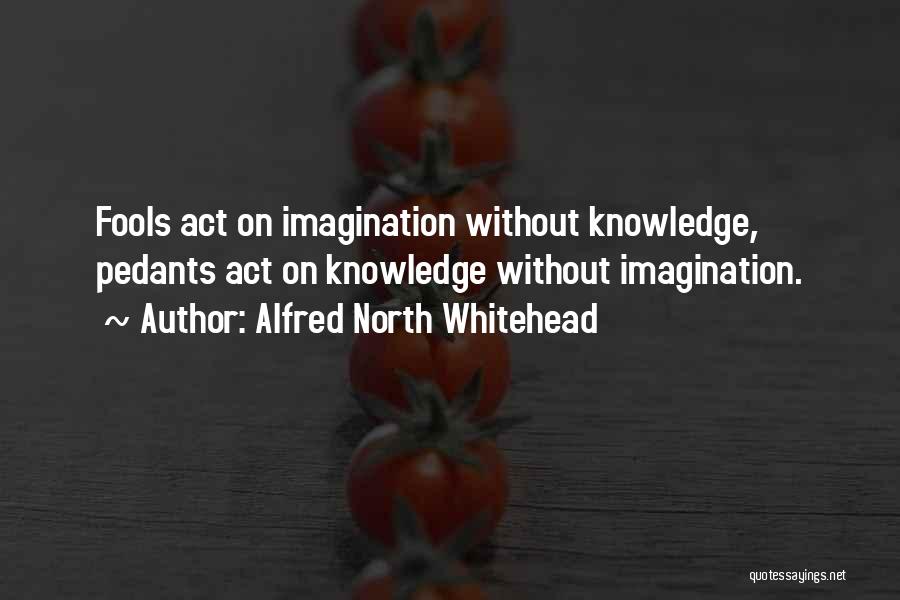 Imagination Without Knowledge Quotes By Alfred North Whitehead