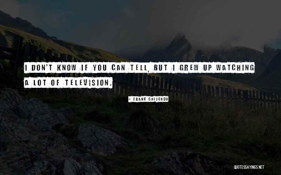 Imaginative Creativity Quotes By Frank Caliendo Imaginative Creativity Quotes By Frank Caliendo