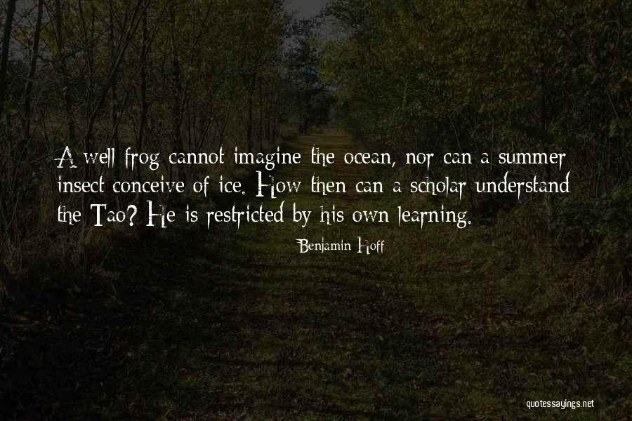 Imagine Learning Quotes By Benjamin Hoff Imagine Learning Quotes By Benjamin Hoff