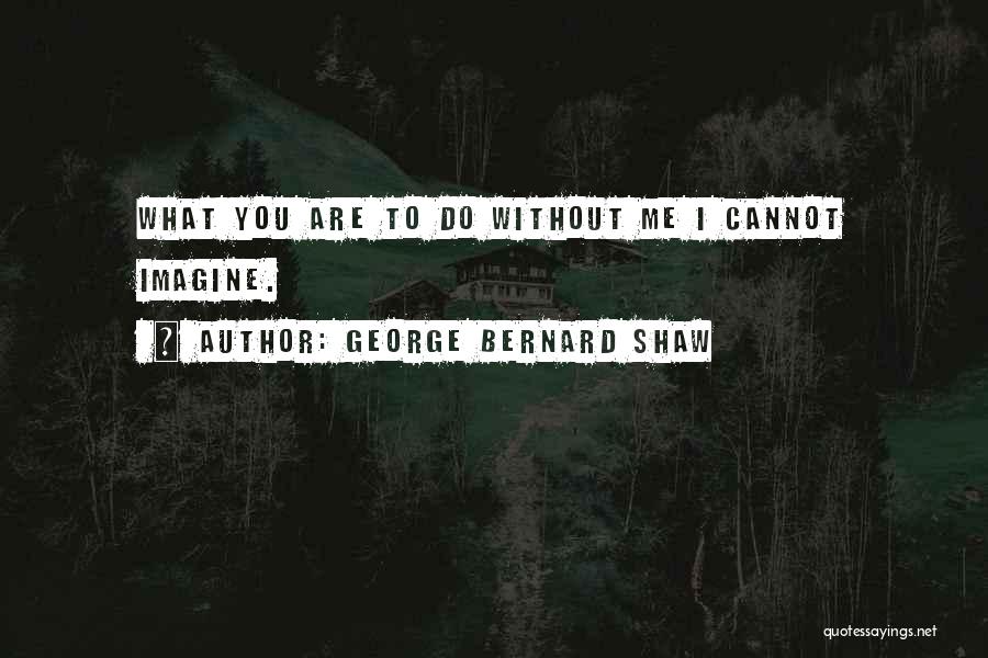 Imagine Me & You Quotes By George Bernard Shaw