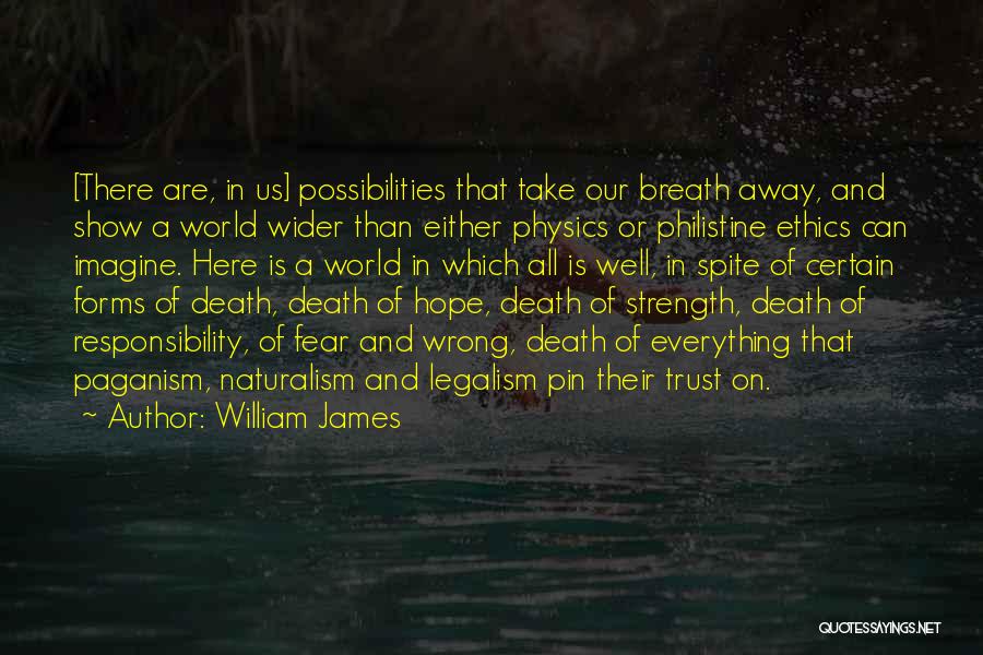 Imagine Possibilities Quotes By William James