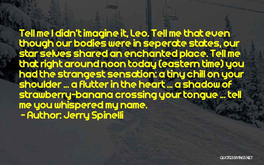 Imagine Quotes By Jerry Spinelli