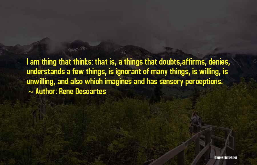 Imagines Quotes By Rene Descartes