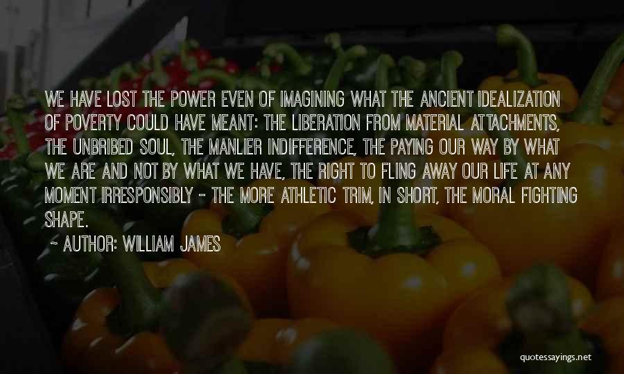 Imagining Life Quotes By William James