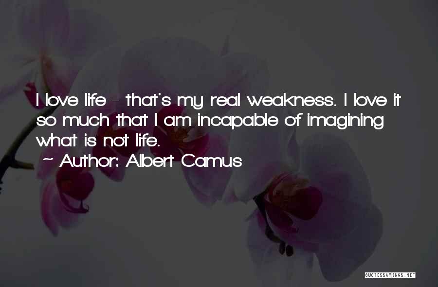 Imagining Love Quotes By Albert Camus