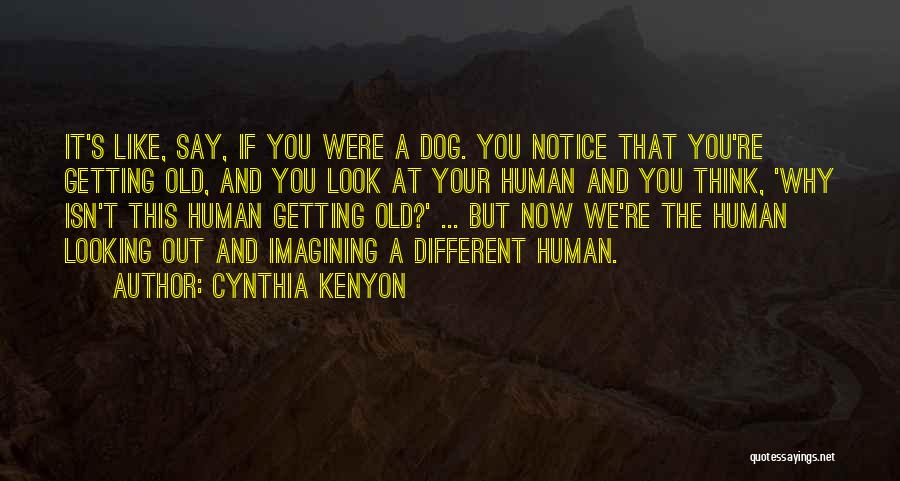 Imagining Quotes By Cynthia Kenyon