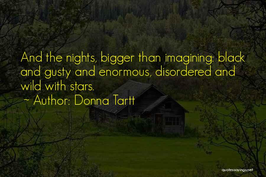 Imagining Quotes By Donna Tartt